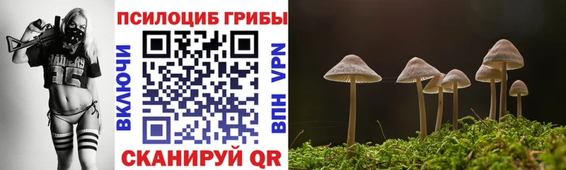 Псилоцибиновые грибы мухоморы  Галич 