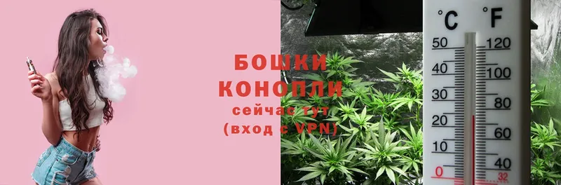 хочу наркоту  Галич  площадка официальный сайт  Конопля SATIVA & INDICA 